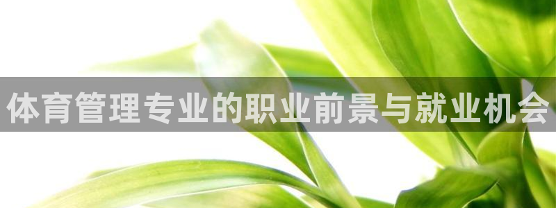 必一体育能提现大金额