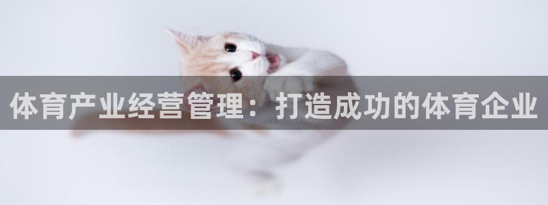 必一运动听的歌：体育