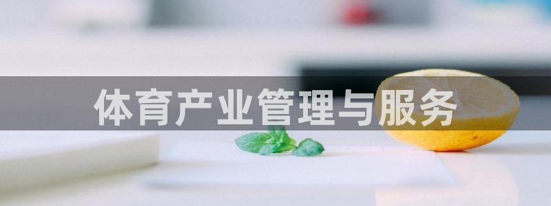 必一体育bsport