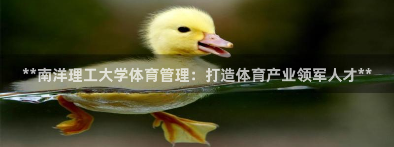 必一体育电子app：