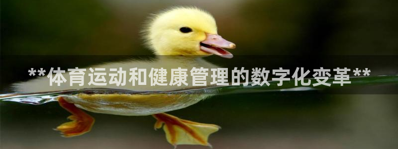 必一体育能提现大金额吗