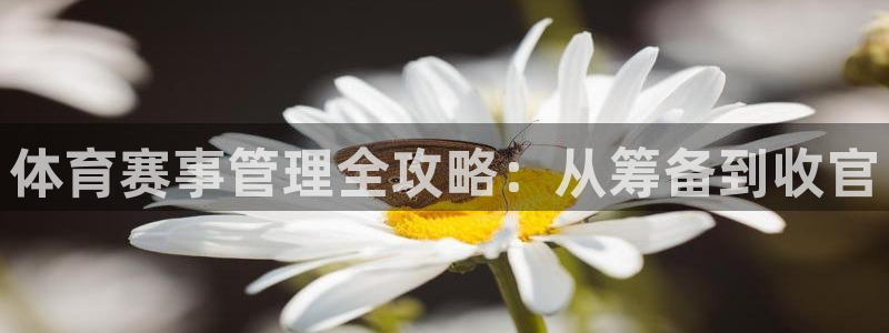 必一体育下载