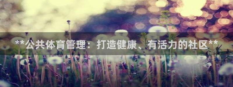 必一体育sport下