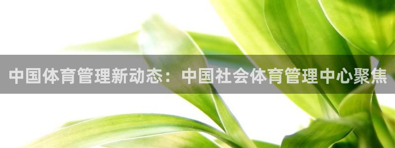 必一体育app官方下