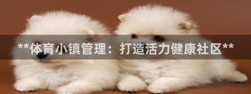 必一体育下载一样吗