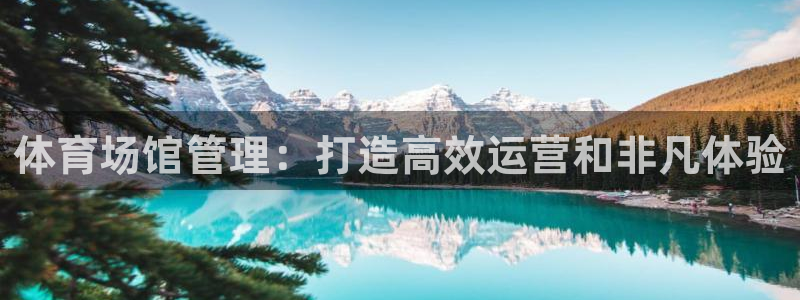 必一运动sport网