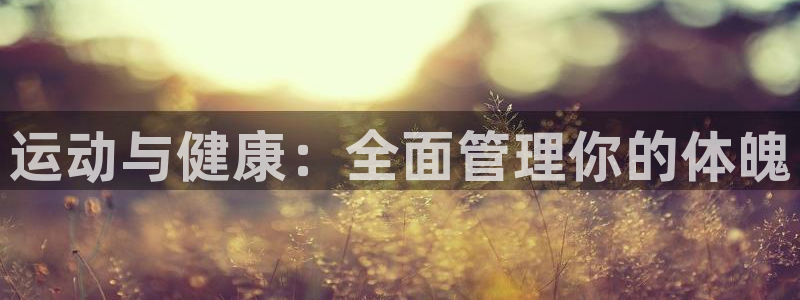 必一体育怎么下载