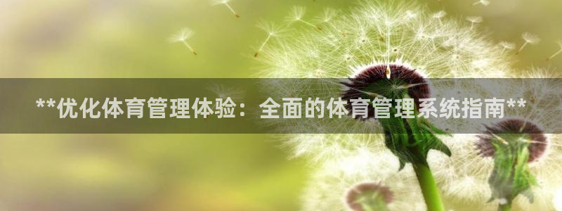 必一体育秀给网