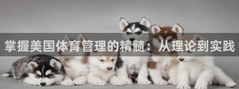 必一体育sport官