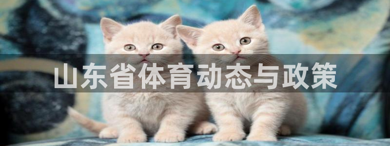 必一体育平台