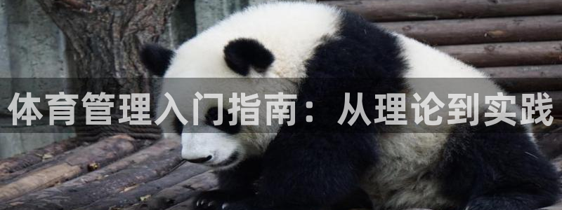 必一体育秀给网