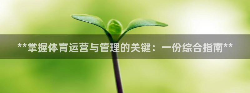 必一体育怎么下载：*