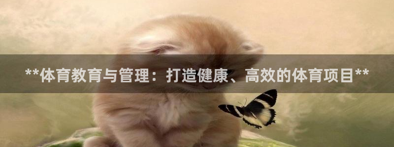 必一体育网页