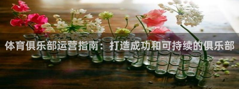 Bsport体育必一