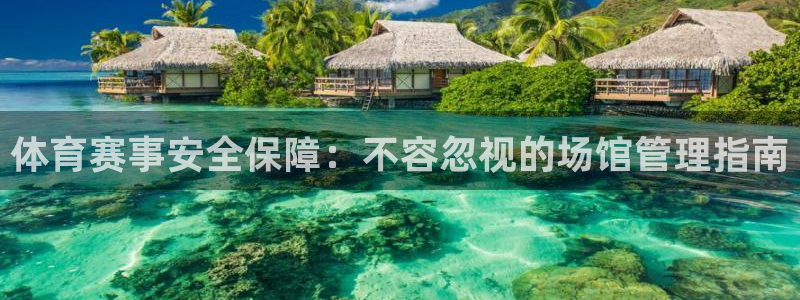 必一体育旧版：体育赛