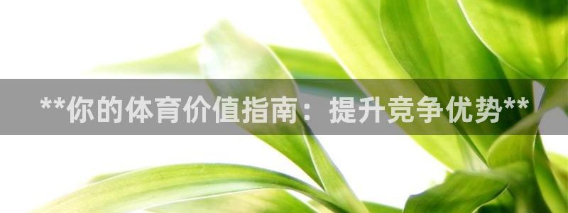 必一体育在线官网