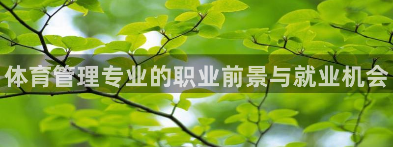 必一体育登录APP下