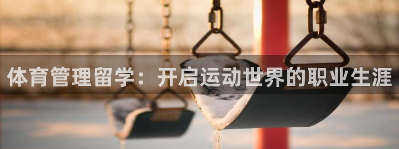 必一体育服下载最新版