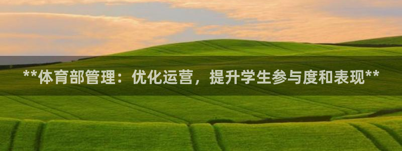 必一体育官网入口：*
