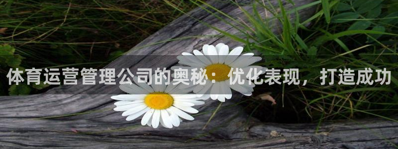 必一体育官网网址