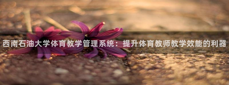 必一运动验证码：西南