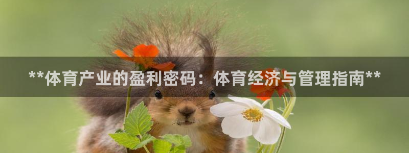 必一体育手机下载：*