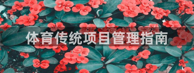 必一体育官方app下载