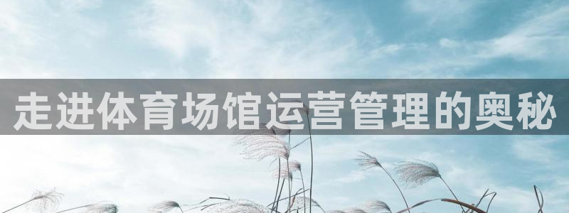 必一体育周公