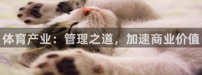 必一体育登录入口APP