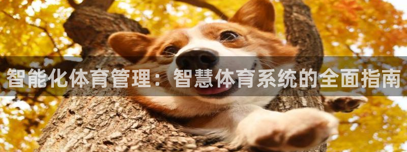 必一体育是啥：智能化