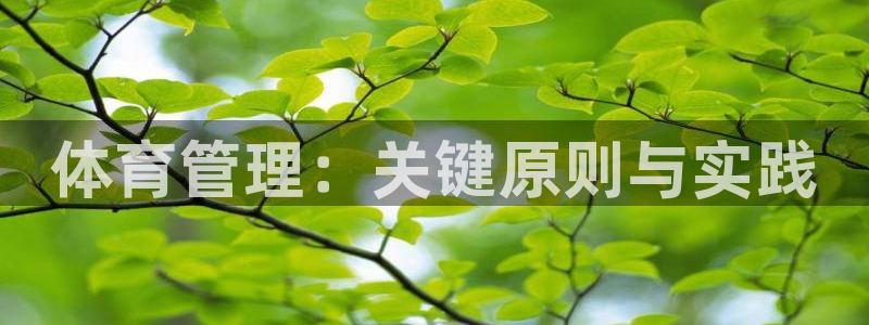 必一体育app下载最