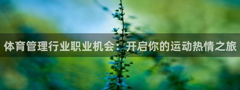 必一体育官方网站入口