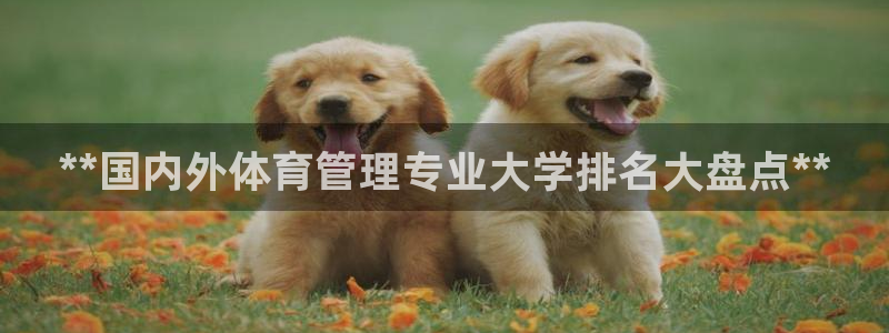 必一运动·(B-Sp