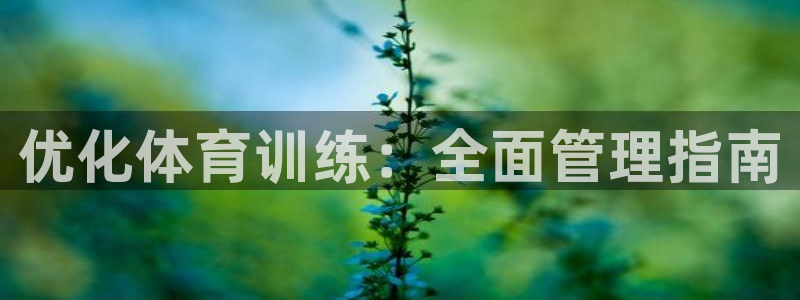必一体育在线登陆：优