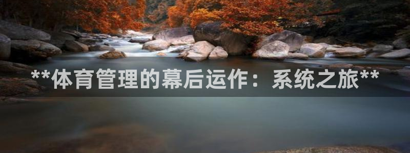 必一体育电子app：