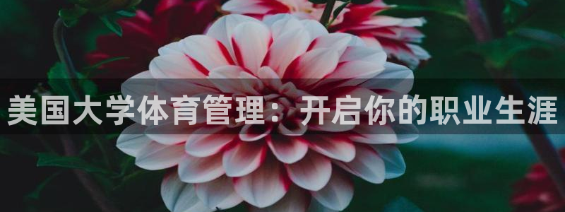 必一体育sport：
