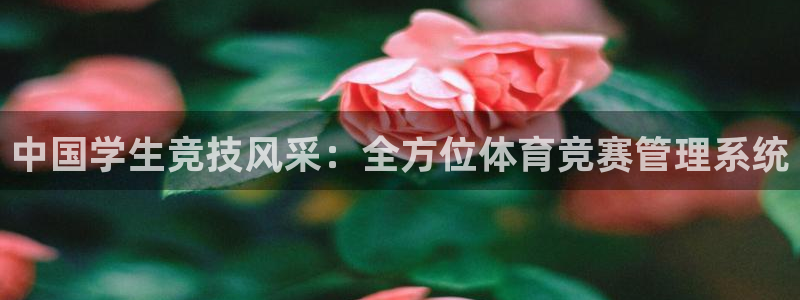 必一体育app下载装