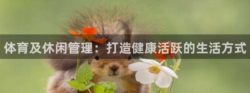 必一体育登陆：体育及