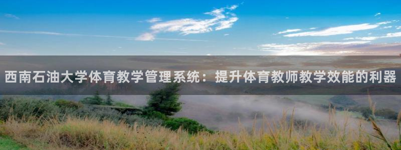 必一体育登录：西南石
