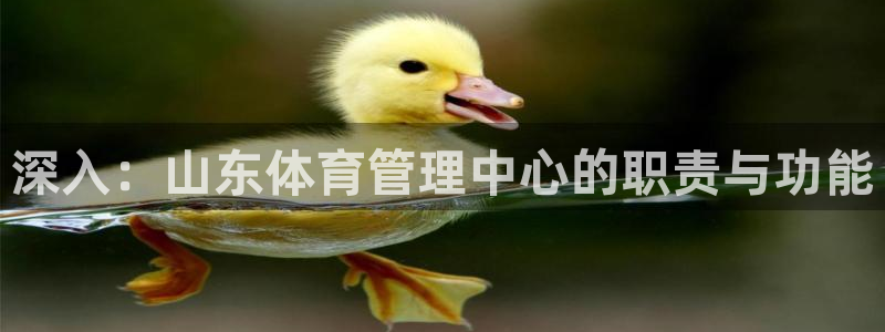 必一体育网页版登录