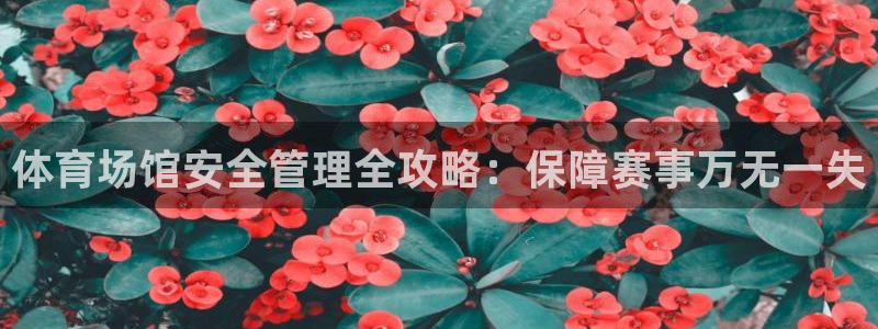 必一体育在线官网：体