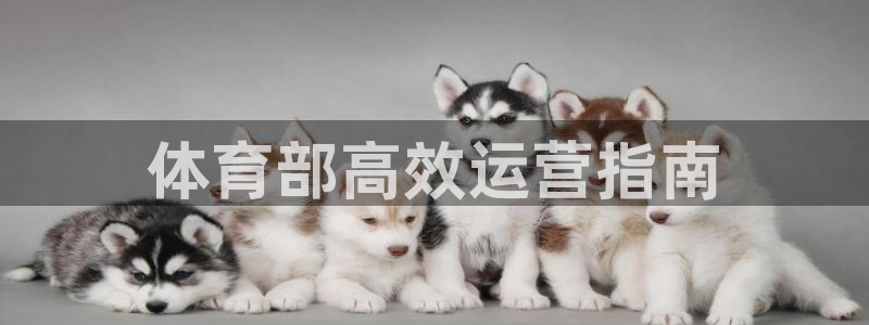 必一运动B-Sport官方网站入口