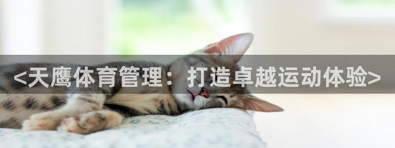 必一体育app下载：
