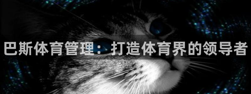 必一体育下载登入：巴
