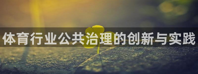必一体育服下载最新版