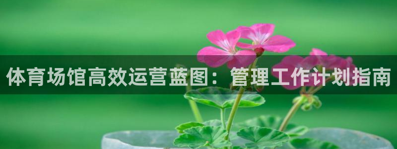 必一体育下载app：