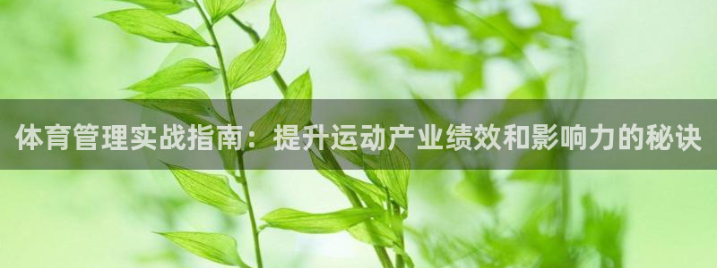 必一体育网页版登录