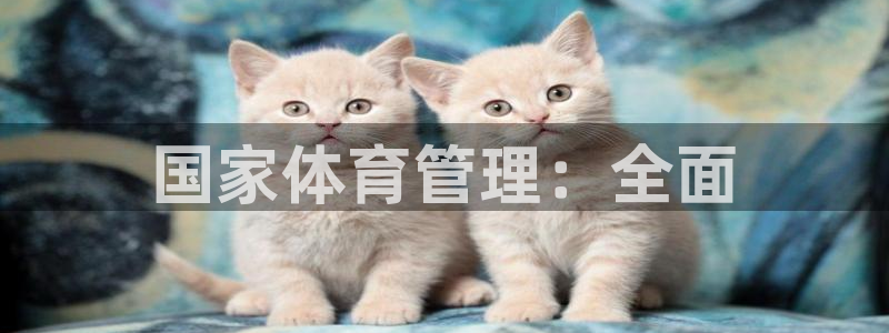 必一体育官方下载入口