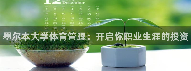 必一体育网页