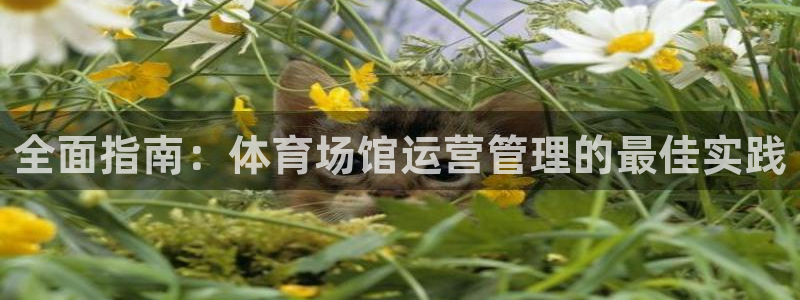 必一体育周公：全面指